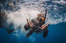 Private Dive Boat for Certified Divers - Cabo San Lucas