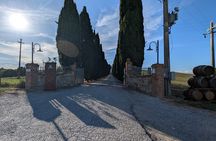 San Gimignano : Pasta Cooking Class with Wine & Panoramic Lunch