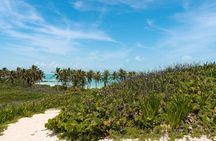 Contoy Island Snorkeling Tour Food & Drinks