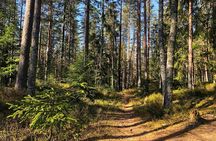 Viking Tales, Trails & Tastes
