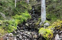 Viking Tales, Trails & Tastes