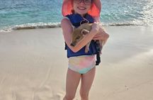 8 Hr Private Rose Island Tour Beach Snorkel Turtles Swimming Pigs