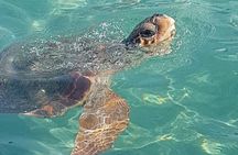 Private Boat Rentals in Laganas