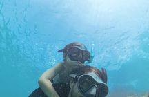 Snorkel Cartagena's Caribbean Reef + Blue Apple Beach Club Pass