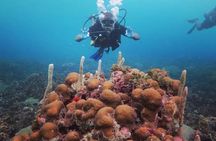 Discover Scuba Diving with Paraiso Dive