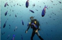 Discover Scuba Diving with Paraiso Dive