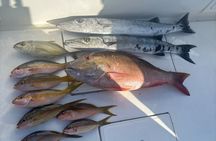 Private Fishing Charter- Deepsea, Reef or Inshore Fishing