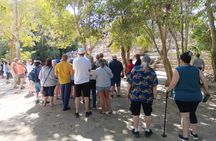 Private Tour To Chacchoben Mayan Ruins All Inclusive