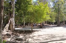 Private Tour To Chacchoben Mayan Ruins All Inclusive