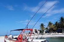 Holbox : swimming tour with whale sharks and snorkel