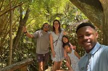 Crazy Clem Sloths, Monkeys & Island Adventure With a local guide