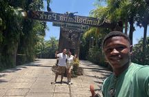 Crazy Clem Sloths, Monkeys & Island Adventure With a local guide