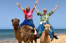 Tangier Private Luxury Tour with Camel Ride - 4-Hour Experience