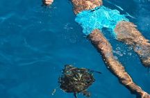 From Limassol: Agia Napa Blue Lagoon & Turtle Bay Boat Trip