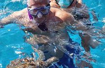 From Limassol: Agia Napa Blue Lagoon & Turtle Bay Boat Trip