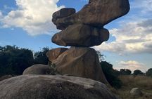 Private Harare City Tour: Wildlife, Art & Iconic Landmarks