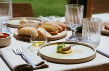 Olive Oil Tasting with Local Food on Lake Garda Hills