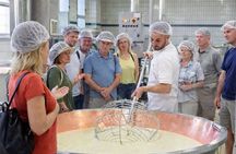 Parma: visit to the cheese factory and masterclass on Parmigiano Reggiano