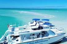 Private half day Catmaran up to 30 guest Diving Board Slide fun