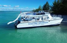 Private half day Catmaran up to 30 guest Diving Board Slide fun