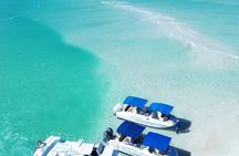 Private half day Catmaran up to 30 guest Diving Board Slide fun