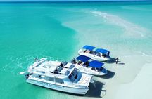 Private half day Catmaran up to 30 guest Diving Board Slide fun