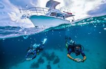 Private PADI 1-Day Scuba Certification in Cabo San Lucas