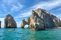 Private PADI 1-Day Scuba Certification in Cabo San Lucas