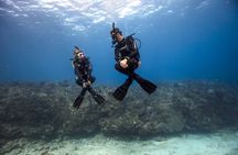 Private PADI 1-Day Scuba Certification in Cabo San Lucas