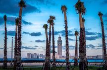 Casablanca Private City Tour with polyglot Licensed Guide