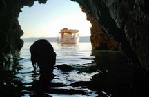 3h Sunset Krk & Plavnik Blue Cave Swim & Dolphin Tour