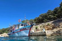 3h Sunset Krk & Plavnik Blue Cave Swim & Dolphin Tour