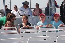 Blue Wave Adventures TursiOps Dolphin Watch Cruise Murrells Inlet