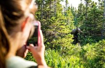 Banff: Lake Louise Canoe Tour & Moraine Lake | Skip-the-Line