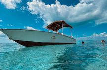 Cancun: 4-Stop Snorkeling Tour, Turtles,Reef,Shipwreck & Cenote
