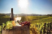 Paarl,Stellenbosch &Franschhoek full Day wine tour from Cape Town