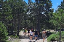 Biokovo Skywalk and Mountain Shuttle from Makarska Riviera