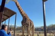 Safari Park ticket