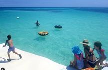 Islamorada Whale Harbor Snorkeling Activity