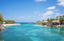 Saona Island Day Trip with Lunch Included