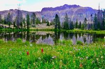Mirror Lake & Uinta Mountains Half-Day Tour from Park City