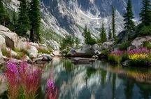 Mirror Lake & Uinta Mountains Half-Day Tour from Park City