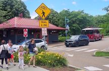 1 Hour Narrated Burlington Trolley Tour