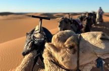 6 Day desert tour from Marrakech to Fez [ 2nights in desert ]