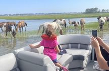 Chincoteague's and Assateague’s Grand Boat Tour with Capt.John