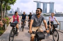 Singapore Highlights Small Group Bike Tour on Full-Sized Bicycles