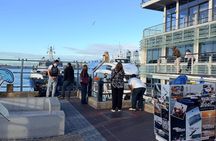 Robben Island Tour from Cape Town Pre-Booked Ticket