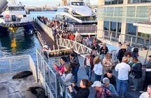 Robben Island Tour from Cape Town Pre-Booked Ticket
