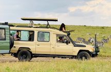 Nairobi National Park Guided Tour with Free Giraffe Center Visit