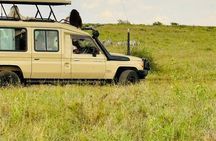 Nairobi National Park Guided Tour with Free Giraffe Center Visit